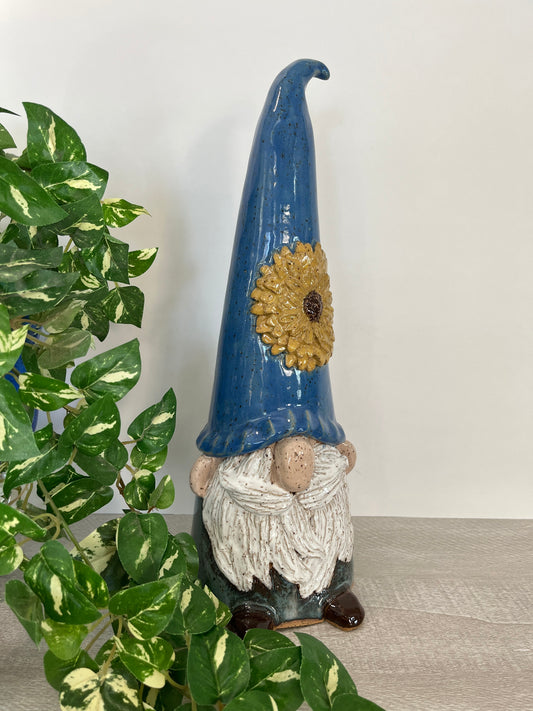 Mr Gnome